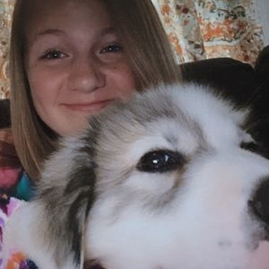 Meet your Posher, Cooper